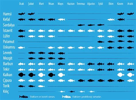 Balık Takvimi: Hangi Ay Hangi Balık Yenir? YouTube.